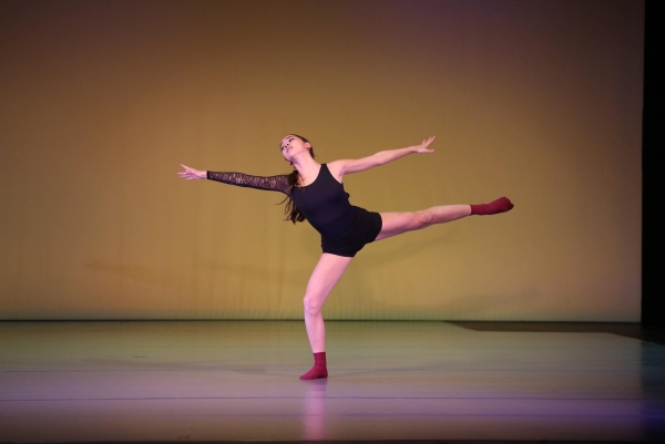 Professional Level Ballet Classes