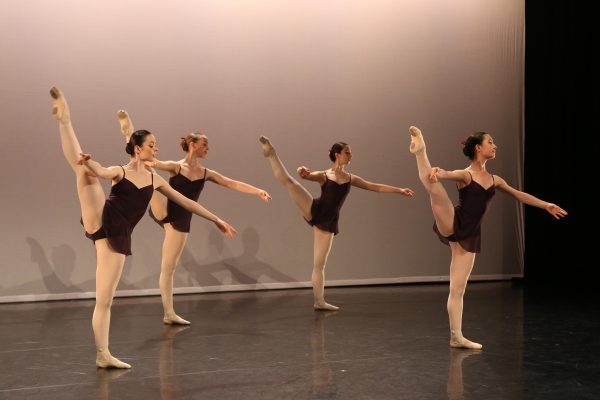 Professional Level Ballet Lessons