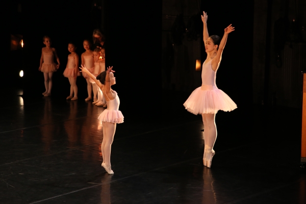 Professional Level Ballet Classes